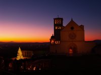 Assisi 2017